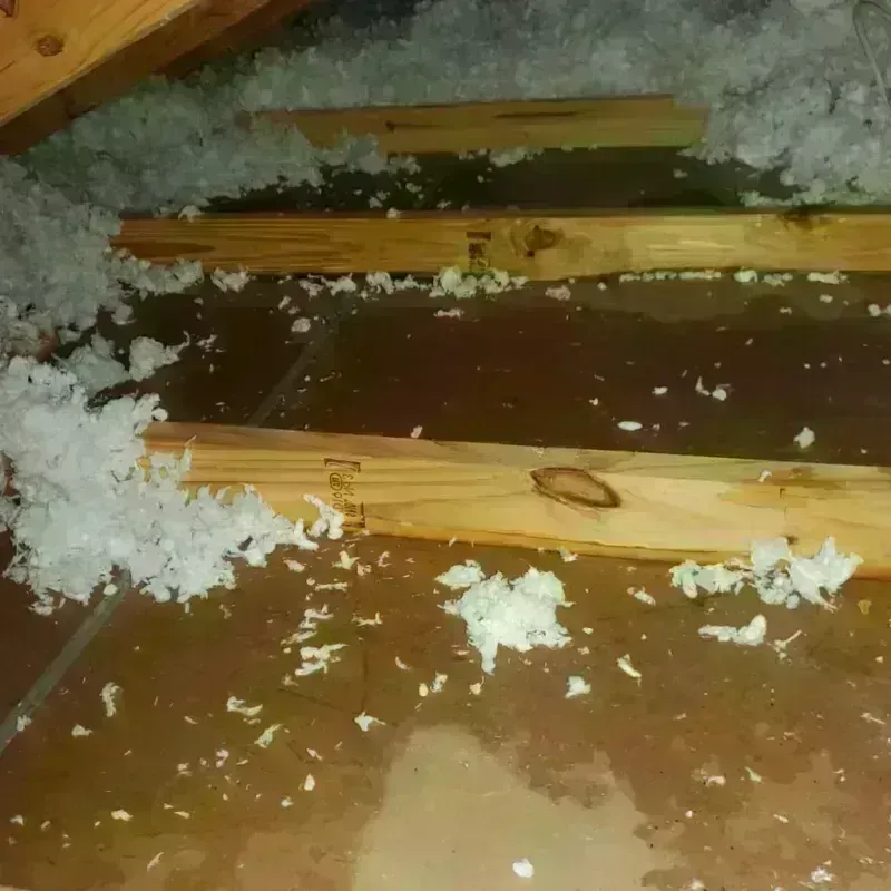 Attic Water Damage in Huntington Park, CA